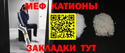 стаф Кингисепп