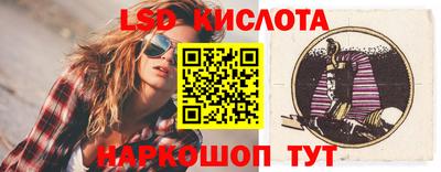 стаф Кингисепп