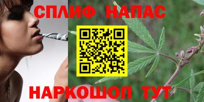СК Кимры