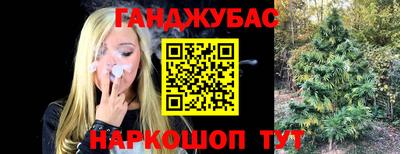 СК Кимры
