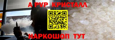 стаф Кингисепп