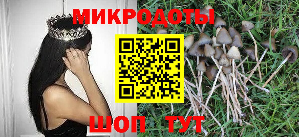 Галлюциногенные грибы Psilocybine cubensis Ковров