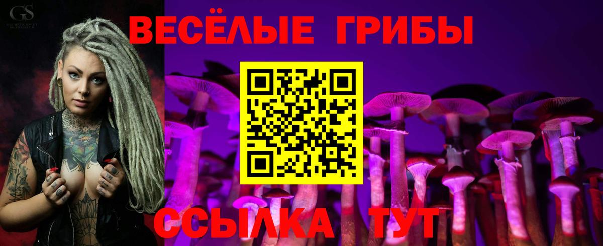 Галлюциногенные грибы Magic Shrooms  Вход с VPN  Ковров  Галлюциногенные грибы мухоморы 